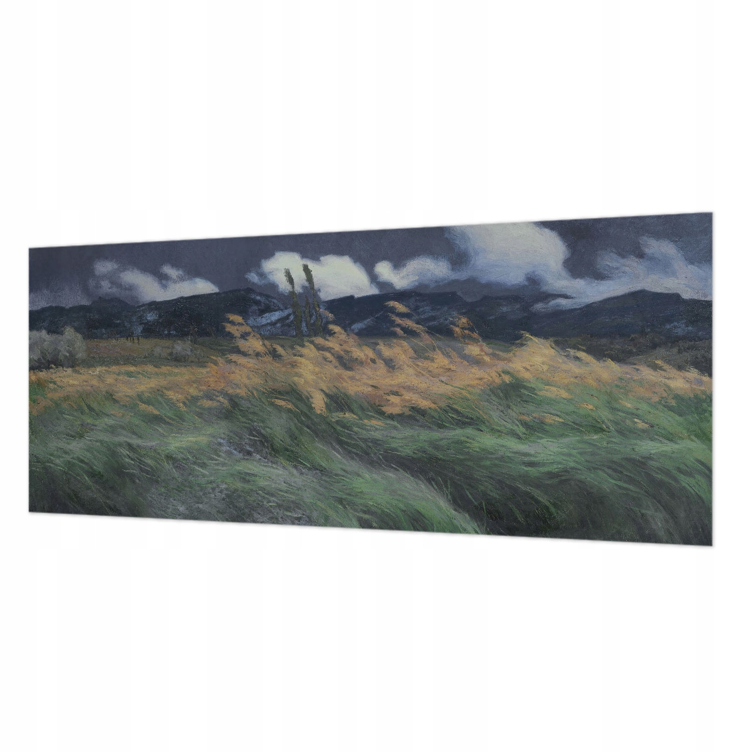 Fototapeta Flizelina do kanceláře Obývací pokoj a ložnice Nafukovací trávy 250 x 104 cm