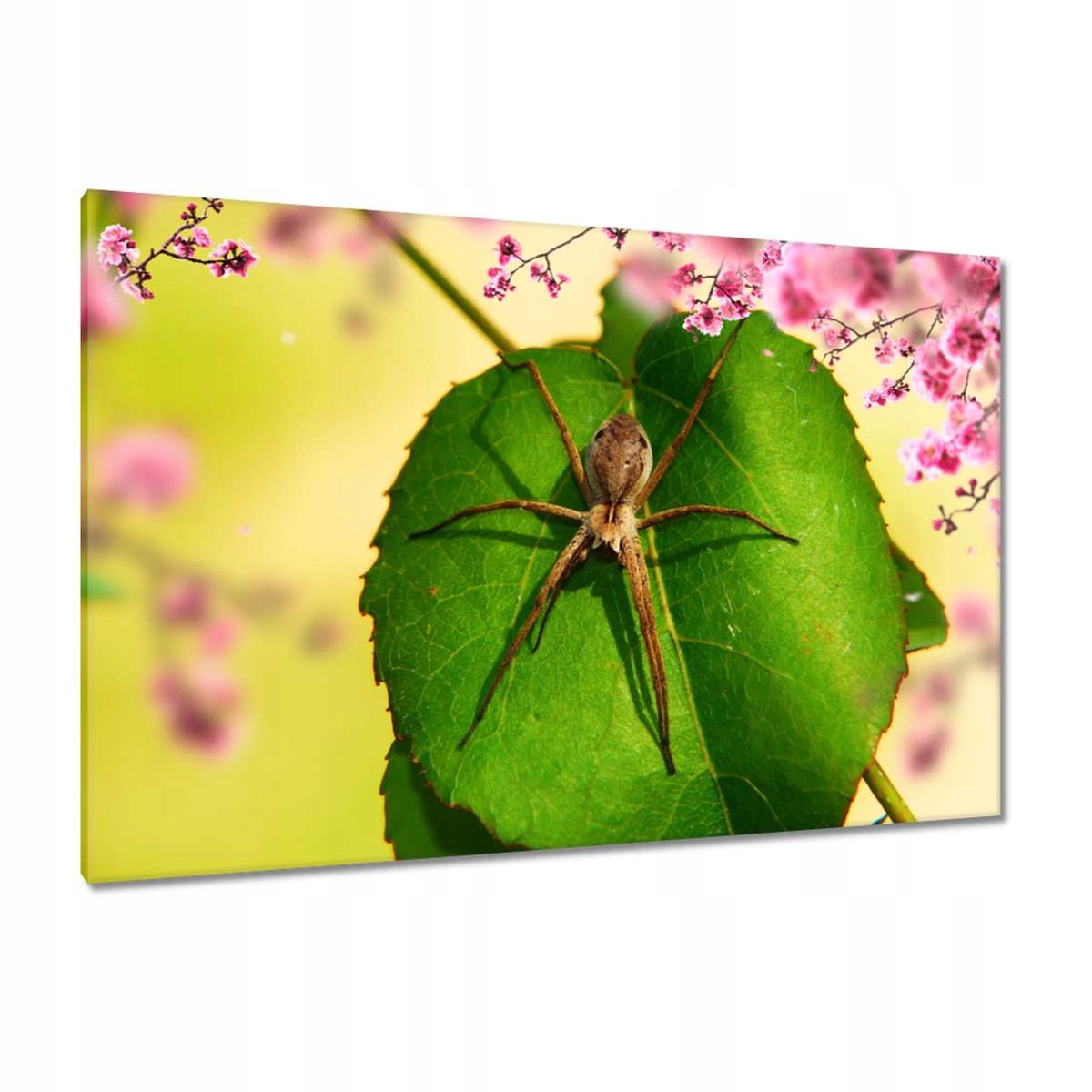Obrazy 120x80 Zvířata Zvířátka