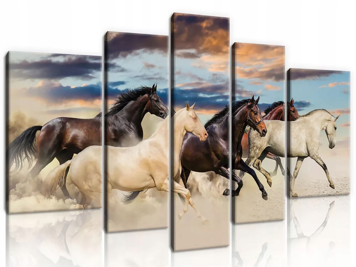 Obraz Na Plátne Canvas 170x100 Kôň Kone Galop