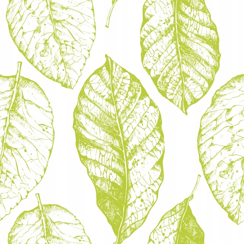

Foto tapeta samoprzylepna Liście limonki 104x70cm
