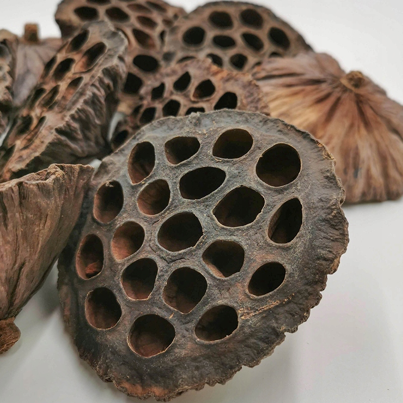 LOTOS suszony XXL ozdoba stroik wieniec 10szt Marka inna