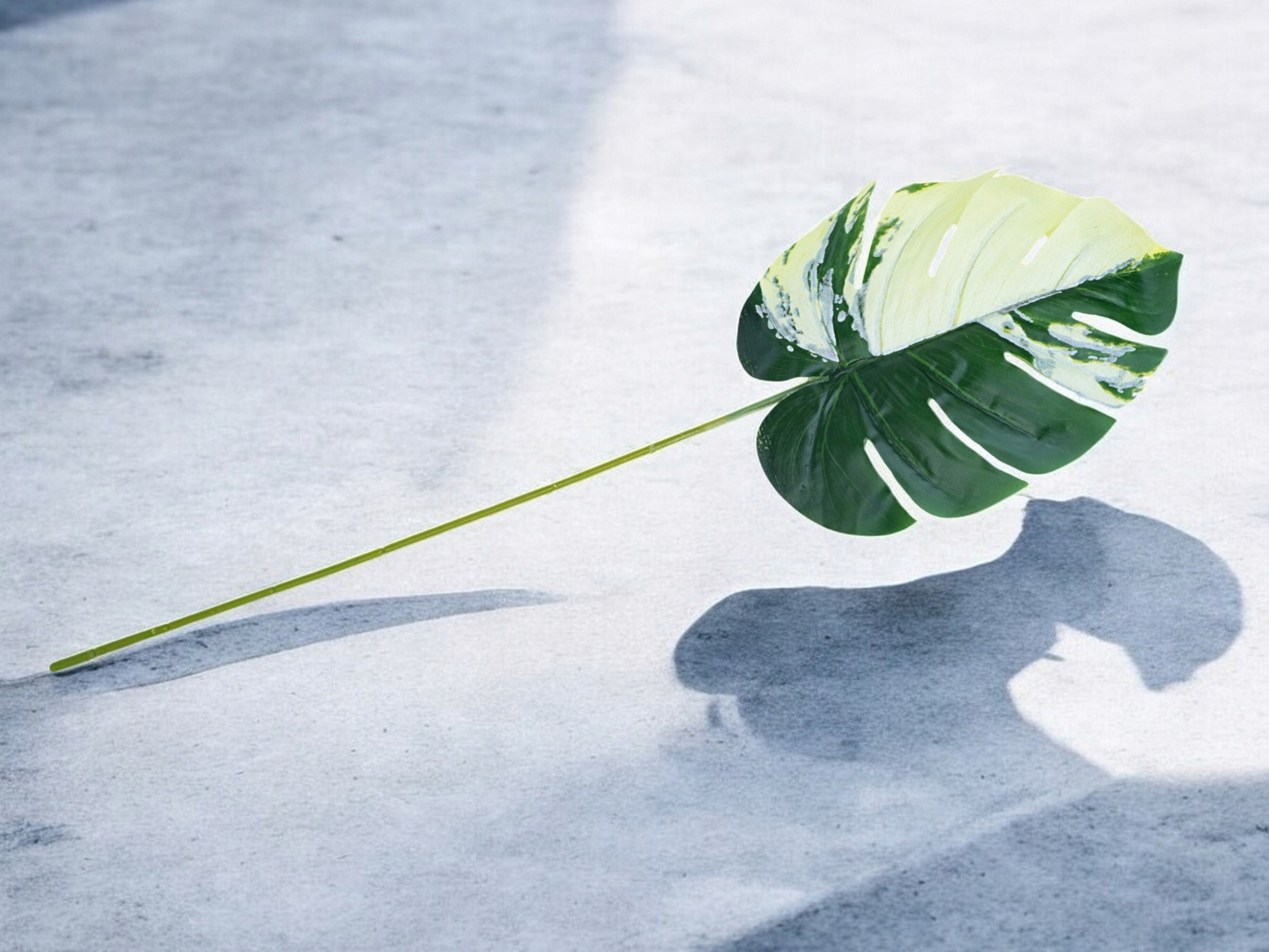 SZTUCZNE KWIATY LIŚĆ MONSTERA POJEDYNCZY DODATEK DO BUKIETÓW 49 cm 2 KOLORY Typ inny