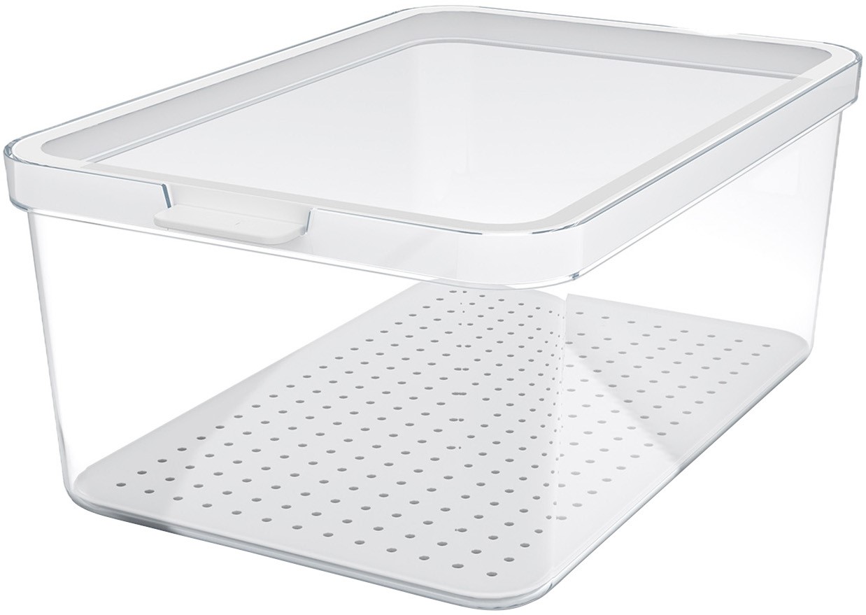 Organizer Pojemnik na żywność przezroczysty do lodówki Rotho Cauma 4,65 l