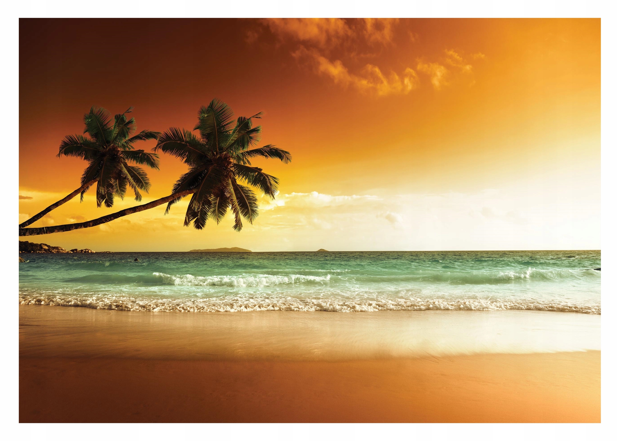 Fototapeta Pláž More 3D Palmy Krajina 416x254