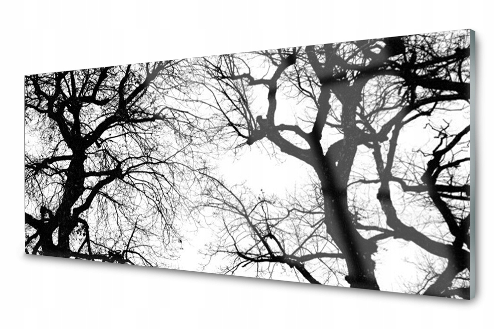 

Panel szklany do kuchni Drzewa Czarno-Biały 125x50