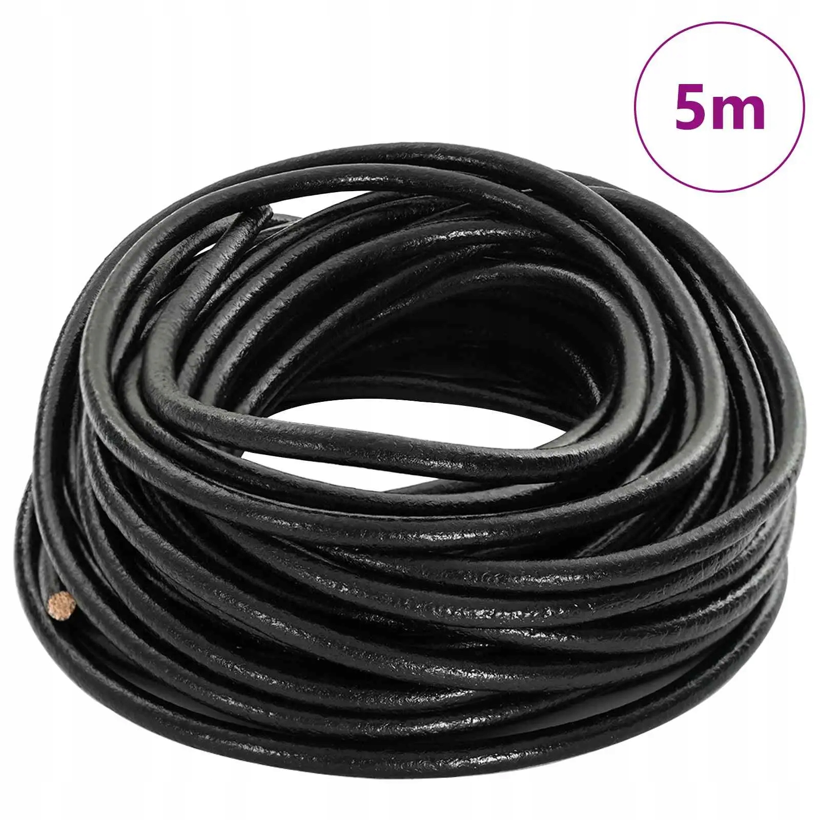 vidaXL Kožený provázek Černá Ø4 mm x 5 m Kůže