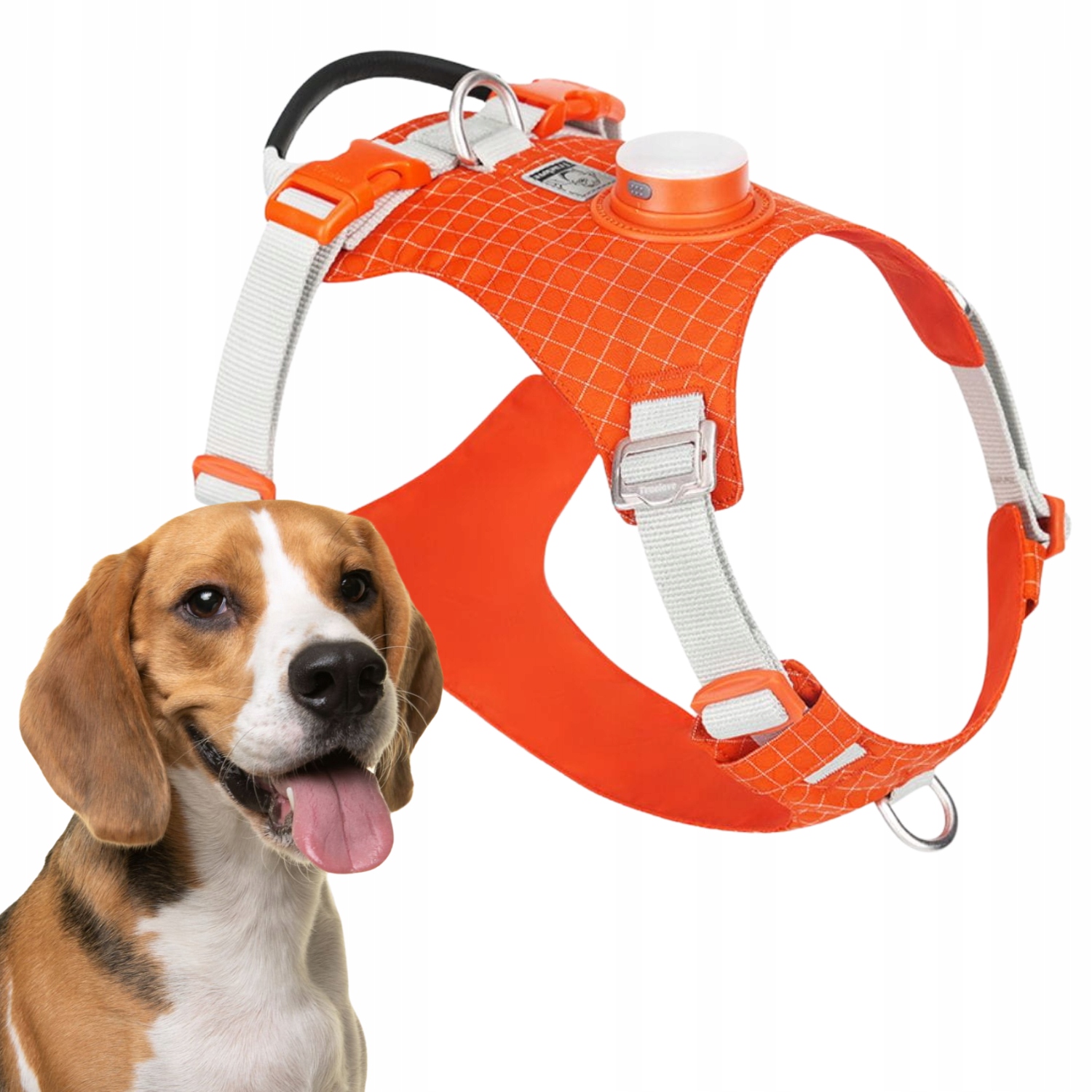 Levně Postroj Pro Psa Truelove Tracker Easy Walk S Led Lampou, Oranžový, M