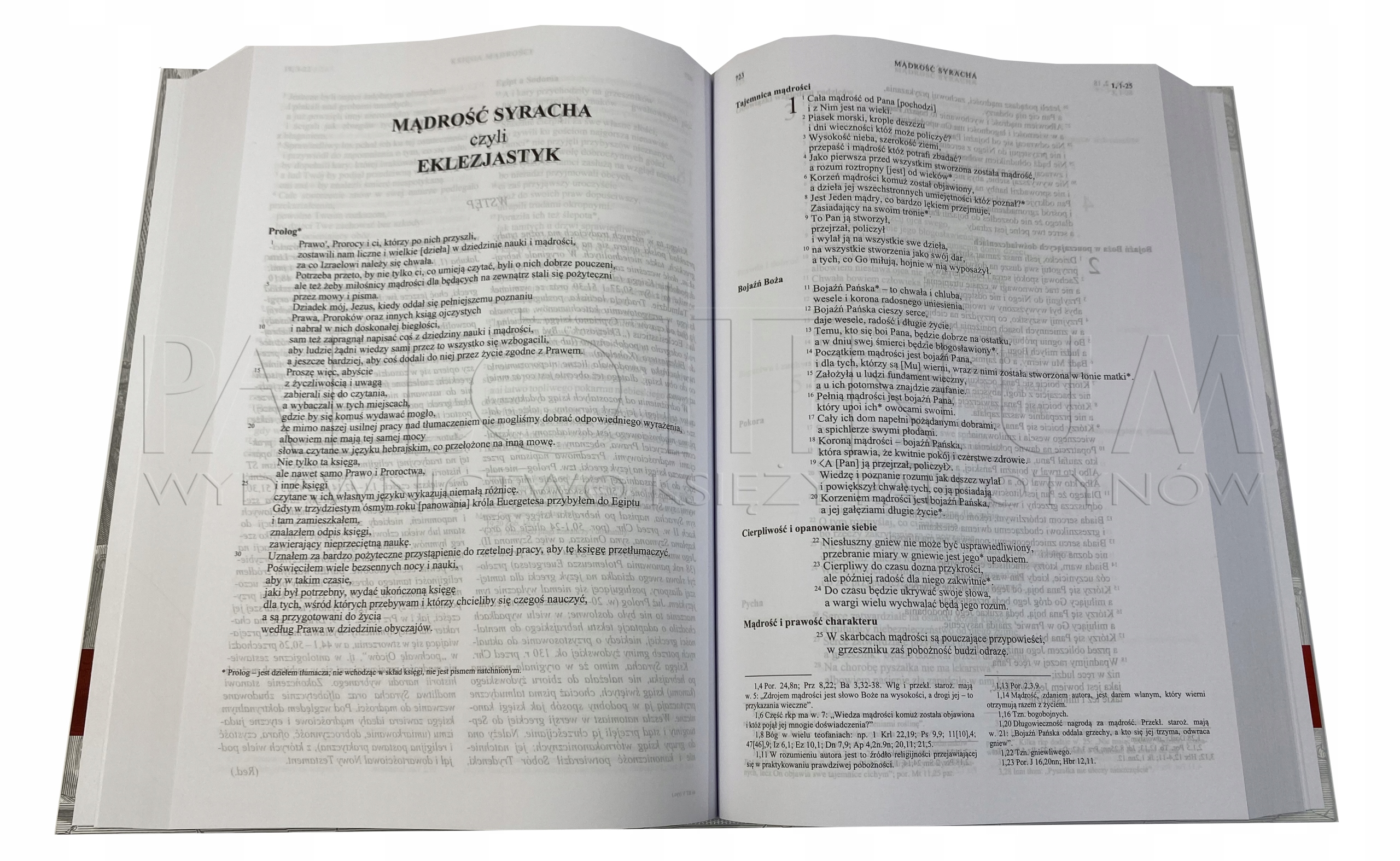 RODZINNA BIBLIA TYSIĄCLECIA duży format A4 Gatunek Religie - opracowania ogólne