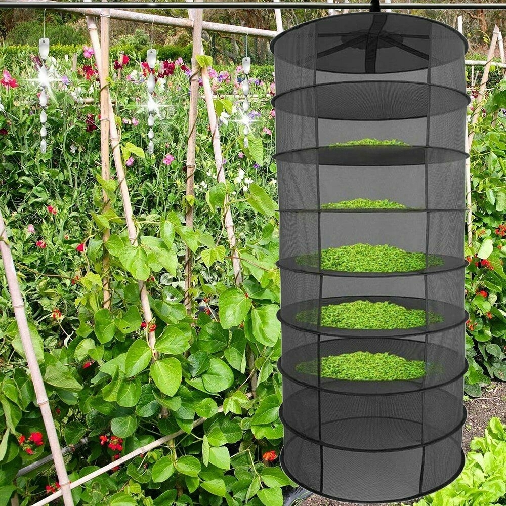 SUSZARKA SIATKA DO SUSZENIA ZIÓŁ 6 PÓŁEK 60/160CM Producent inna