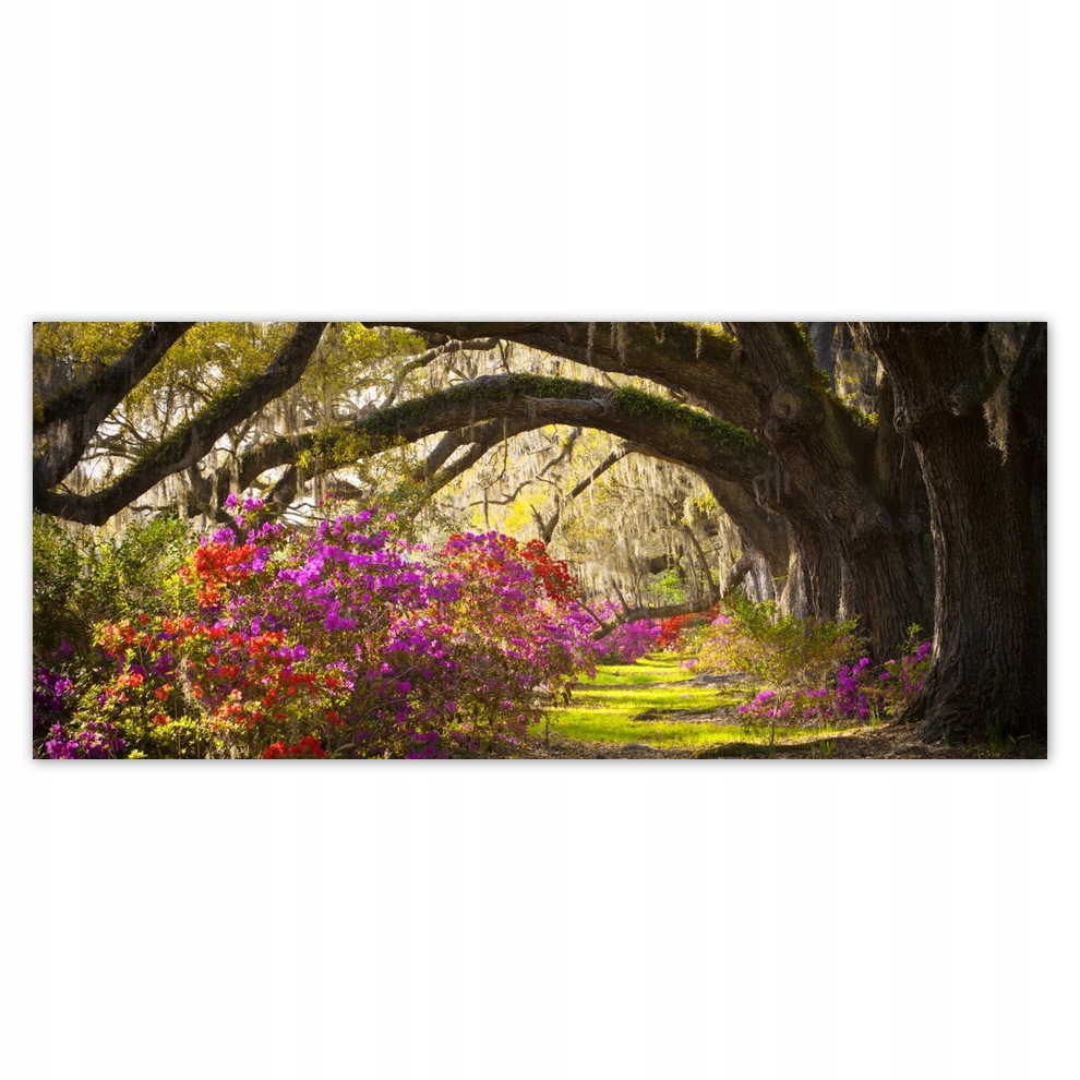 

Fototapety flizelina 211x91 Dębowa aleja