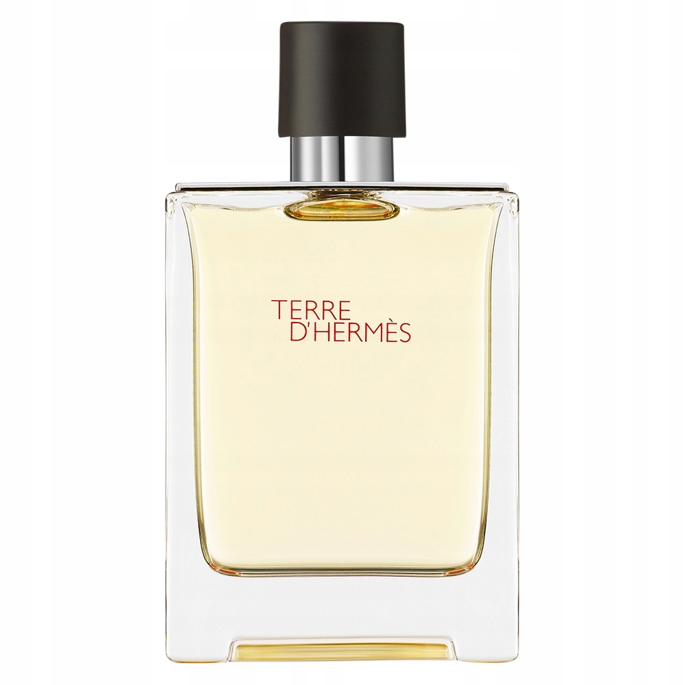Hermes Terre D'Hermes toaletní voda sprej 100 ml