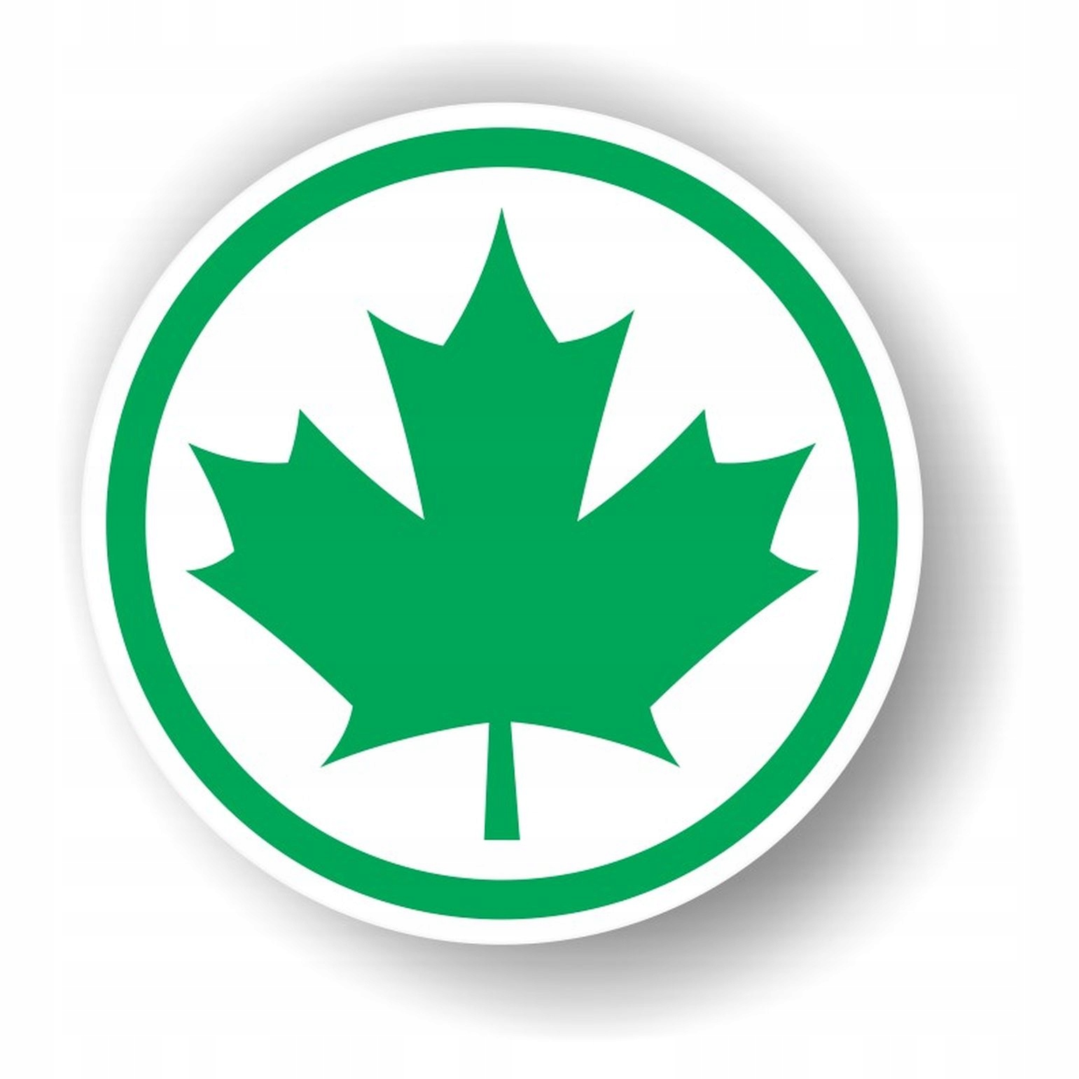 Naklejka Zielony Listek Początkujący Kierowca