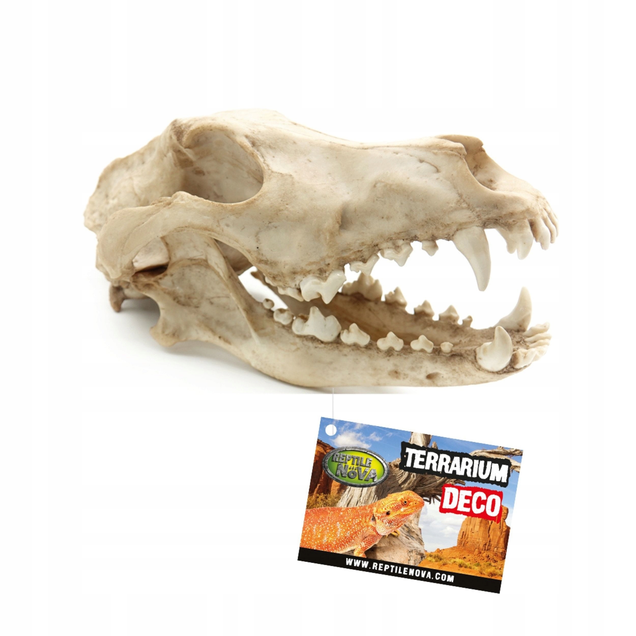 Reptile Nova Skull Lebka Vlka Dekorace do terária 27x13x13,5 cm