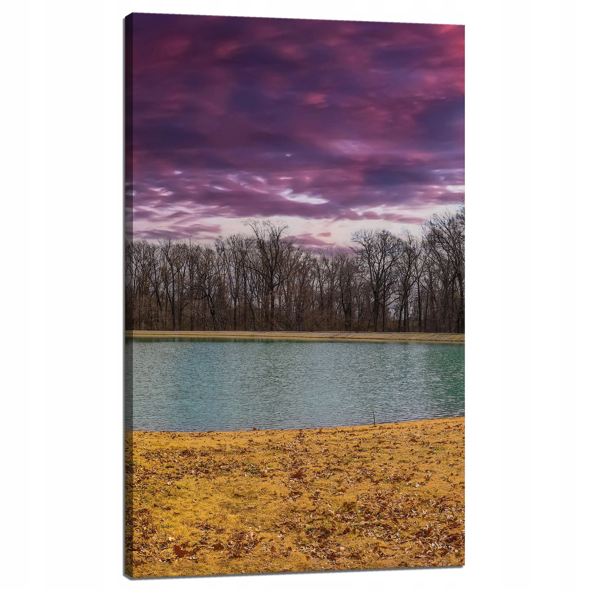 Obraz na plátně Fialové nebe Rybník Stromy Podzim 60x100 cm