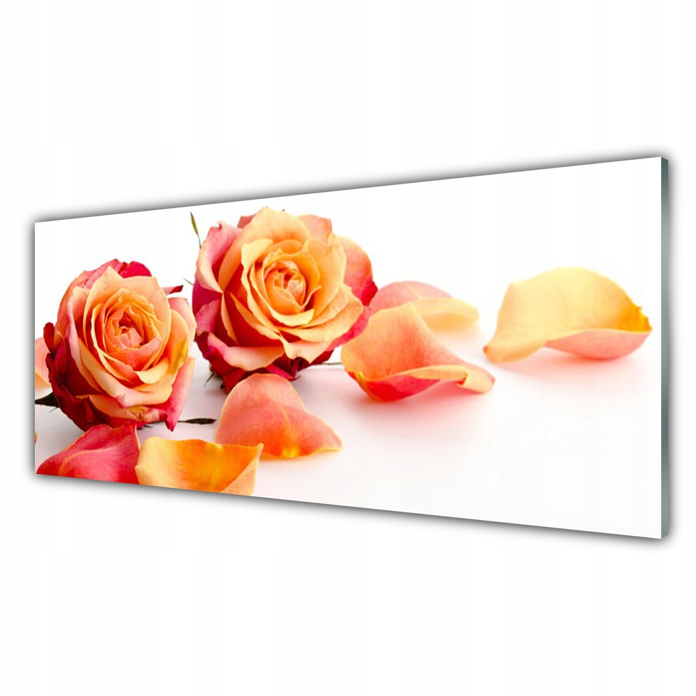 

Obraz na ścianę ścienny 125x50 Róże Kwiaty Roślina