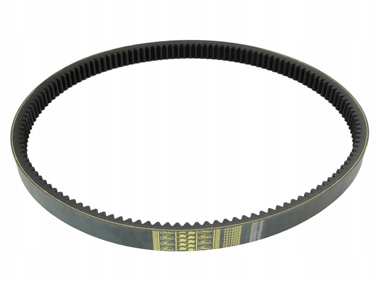 PAS KLINOWY CLAAS 609823 GATES 55x2450 609823.0 14