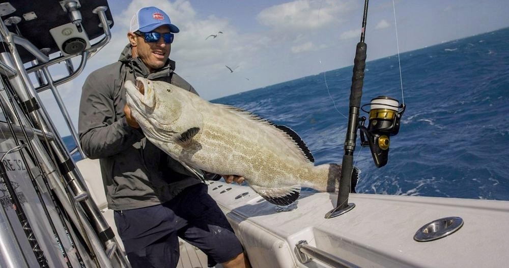 KOŁOWROTEK NA SUMA PENN SPINFISHER VI 5500 Marka Penn