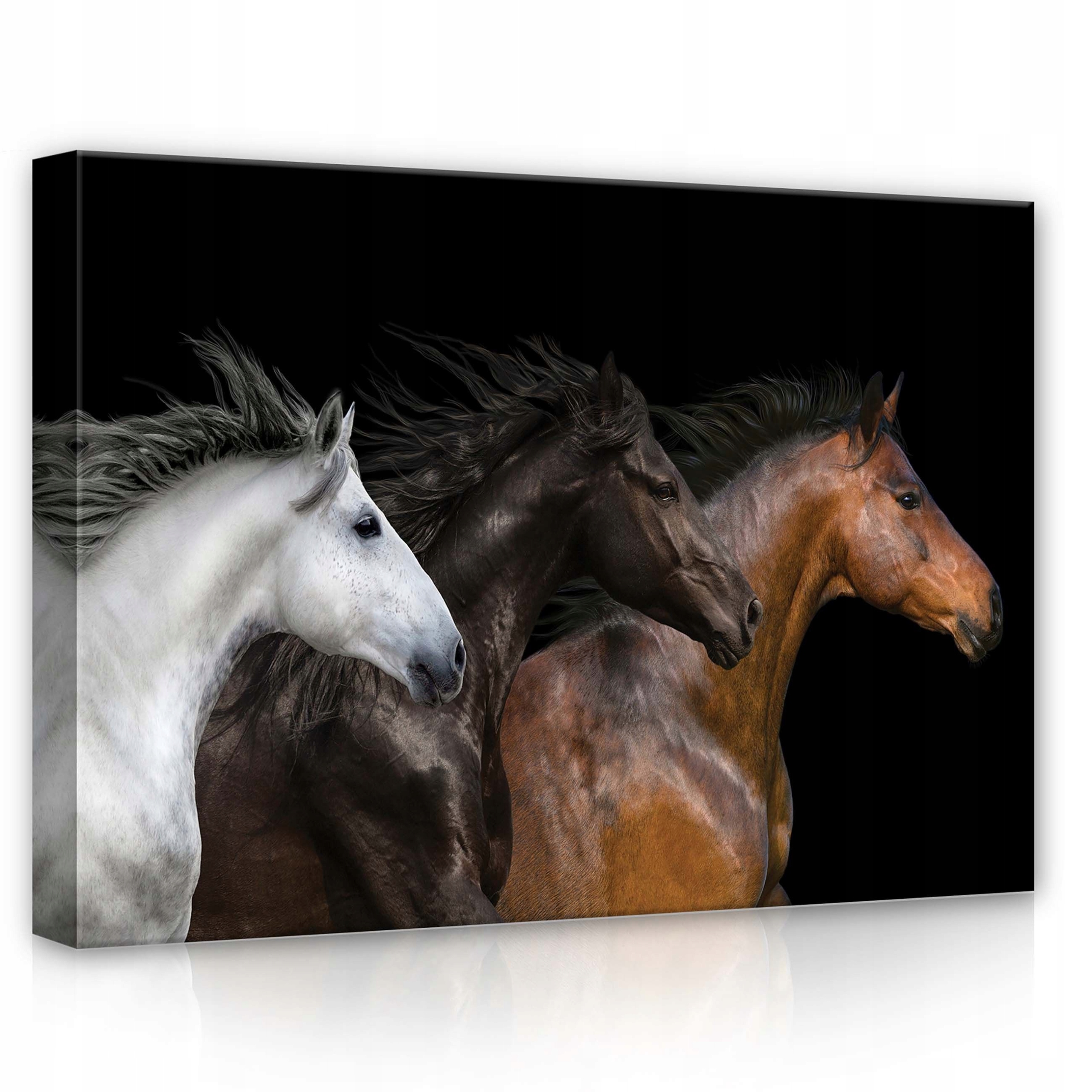 Obraz 70x50 Koně běh stádo svoboda síla energie pohyb příroda zvířata