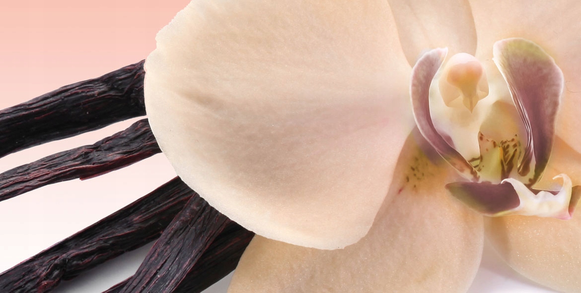 J.Fenzi Lasstore Over Again EDP 100ml kwiat-owocow Kod producenta JF:105