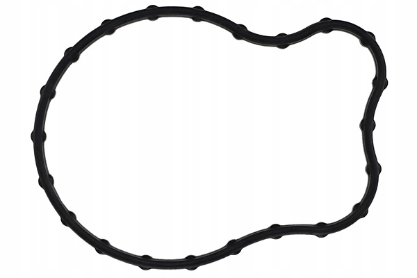 USZCZELKA TERMOSTATU ELRING ELRING Numer katalogowy części 099.190