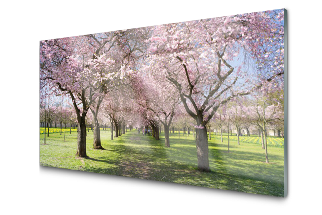 

Panel szklany dekoracyjny Ścieżka Drzewa 100x50