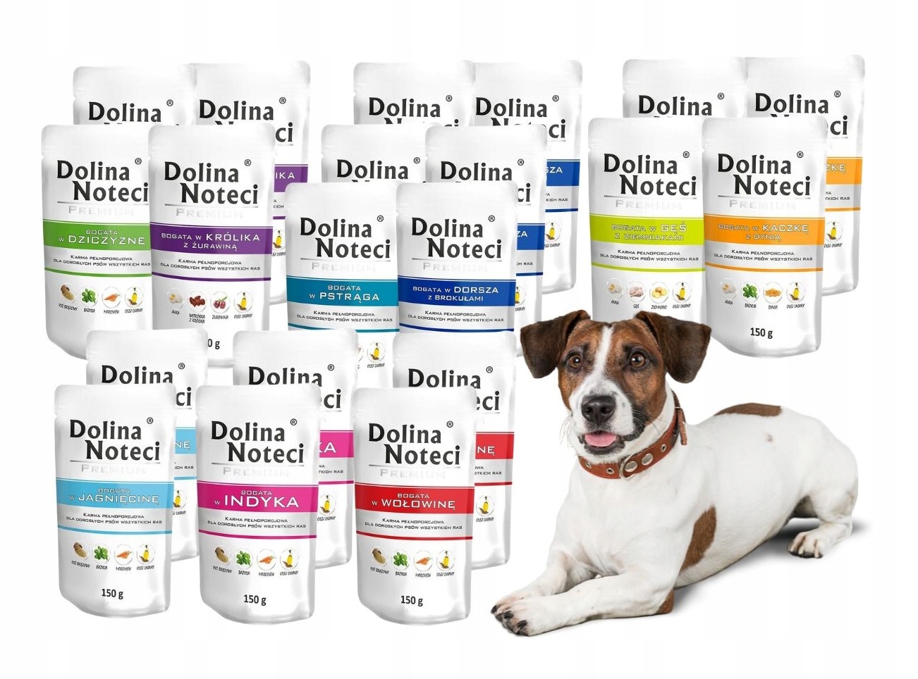 Levně Dolina Noteci Premium Vlhké krmivo mix chutí 20x150g bez kuřete