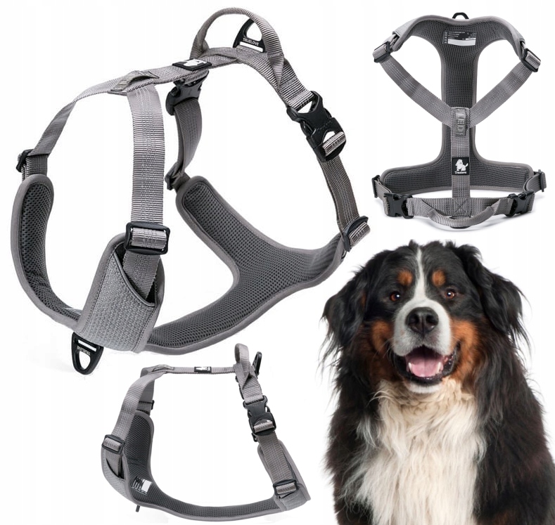 Levně Reflexní Obojky Pro Psa Easy Walk, Silné Truelove Lumen Šedé XL