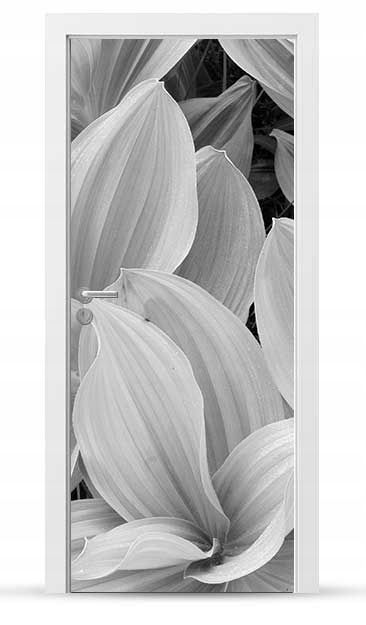 Okleina nálepka na vnější dveře Nábytková samolepicí Snadné Lepení