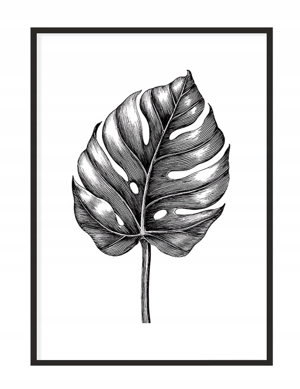 

Obraz Plakat W Ramie 43x33 cm Liść P1139