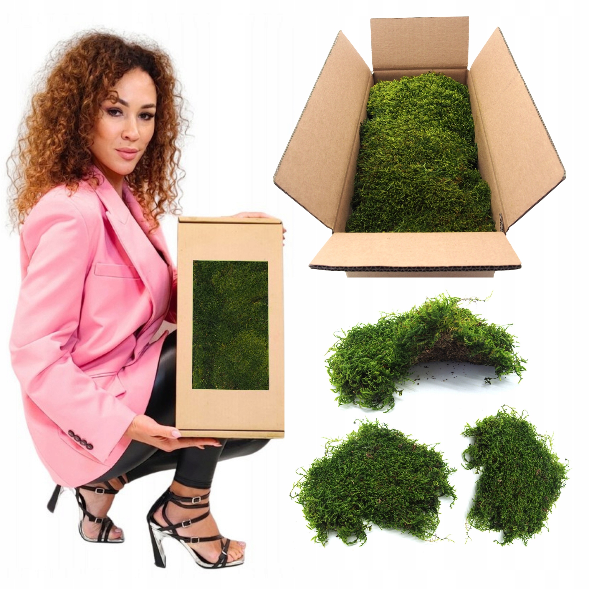 Mech Plochý světle zelený švédský 200g čistý Dekorativní živý ozdobný