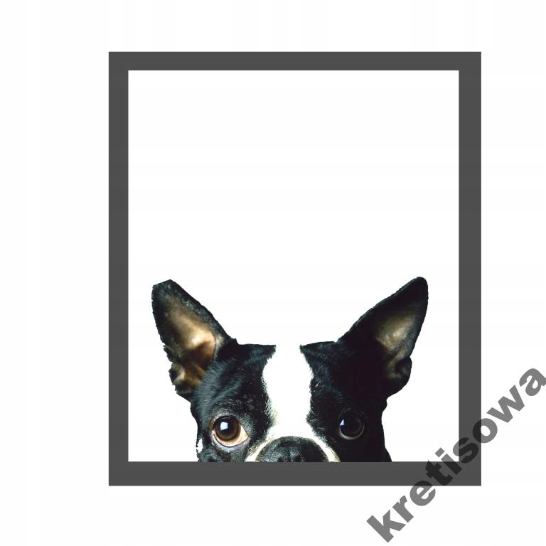 

Damska Pies Dog Doberman Buldog Husky Wzory r6a