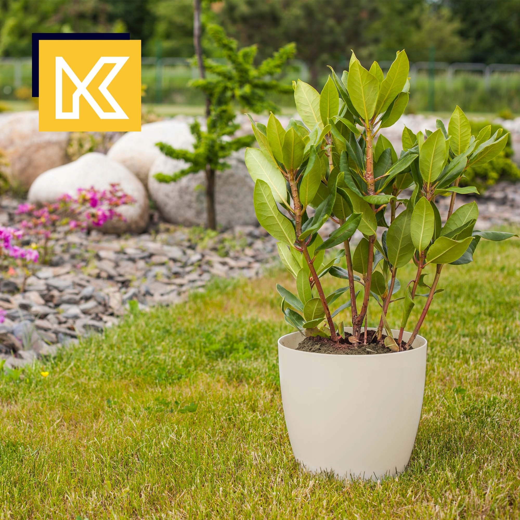 3x DONICZKA 20cm OSŁONKA Z PODSTAWKĄ KREMOWA Długość (cm) 20 cm