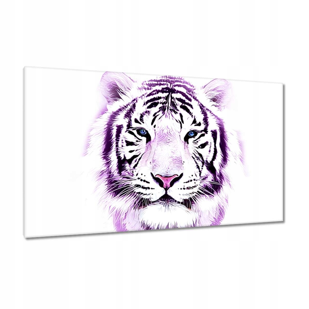 Obrazy 120x70 Jemná grafika Tygr na bílém pozadí Tiger