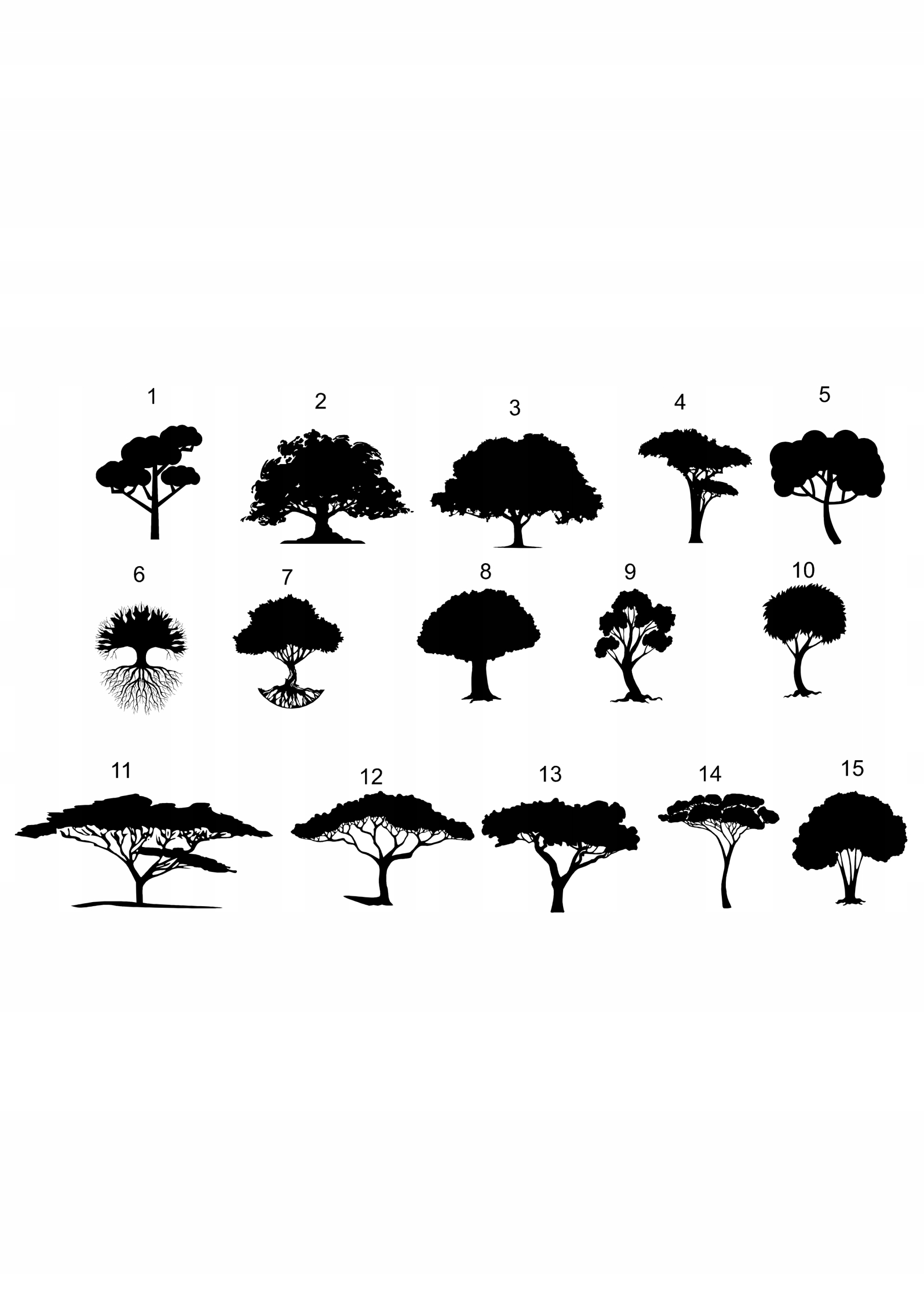 Baza chrobotka, drzewo życia 30 cm zakończenie roku szkolnego Cechy dodatkowe bez ramy ozdobnej