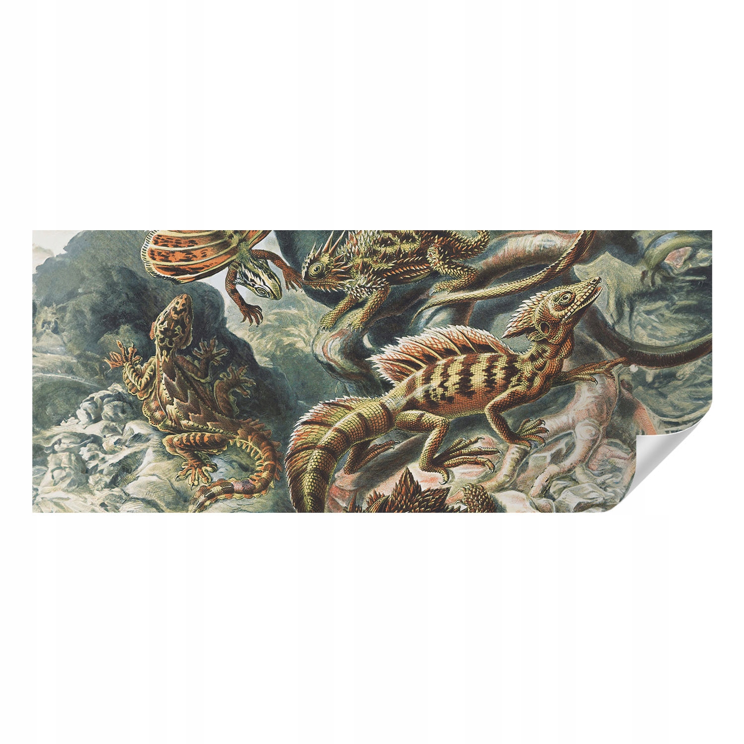 Dekorativní tapeta Samolepicí Módní vzory Exotické plazy 250 x 104 cm