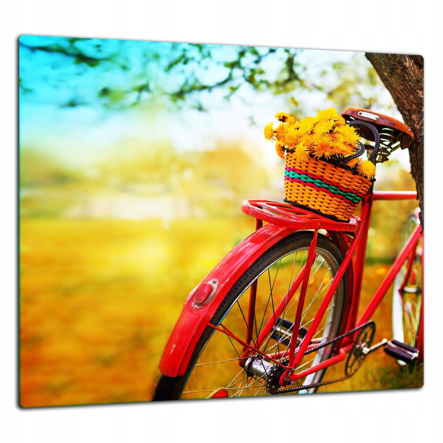 Skleněný Ochranný Panel Do Kuchyně 65x60 Kolo Lacobel 7v1