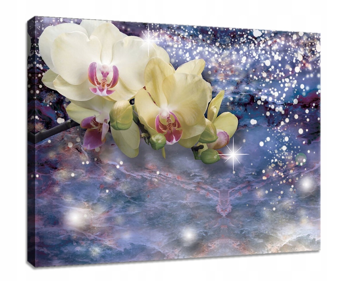 Obraz Na Plátně Canvas 100x75 Orchidej Orchidej