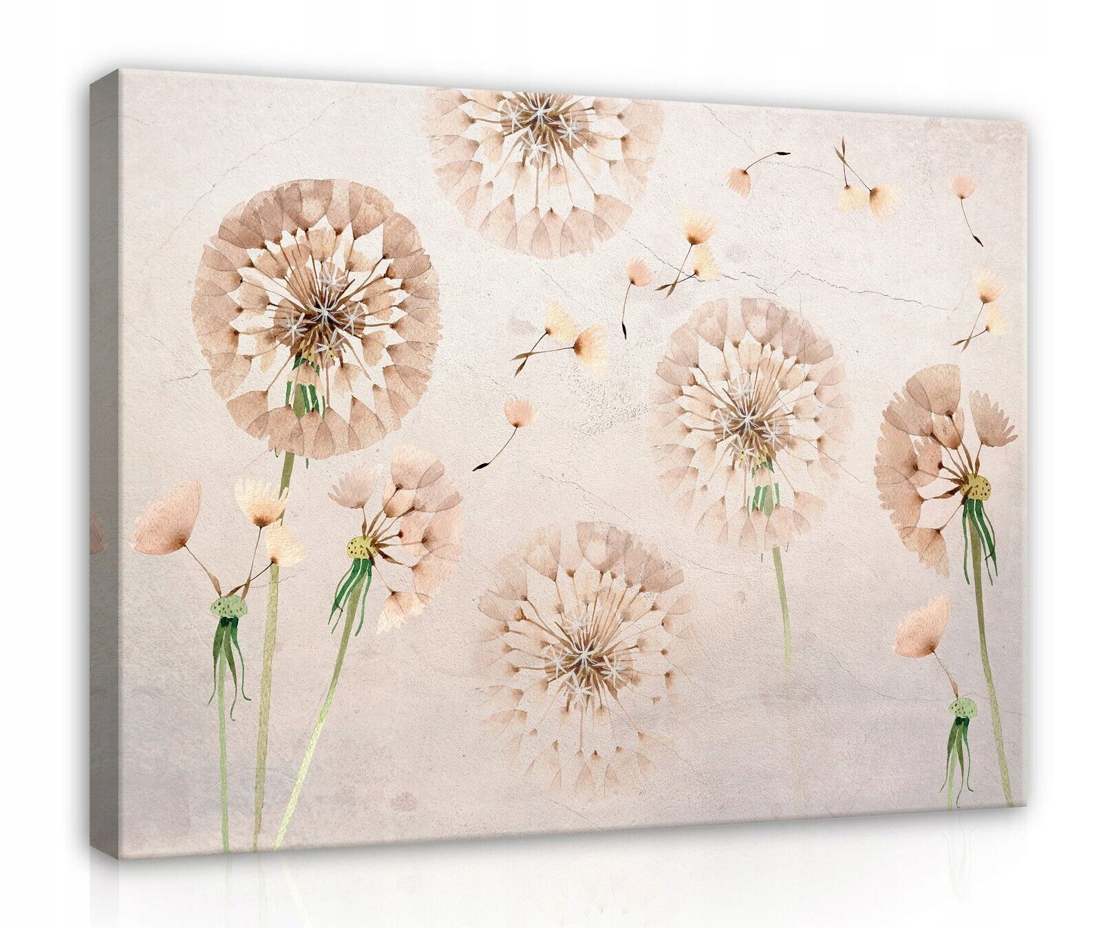 Obraz Na Plátně Canvas 120x80 Dmychadla Květiny