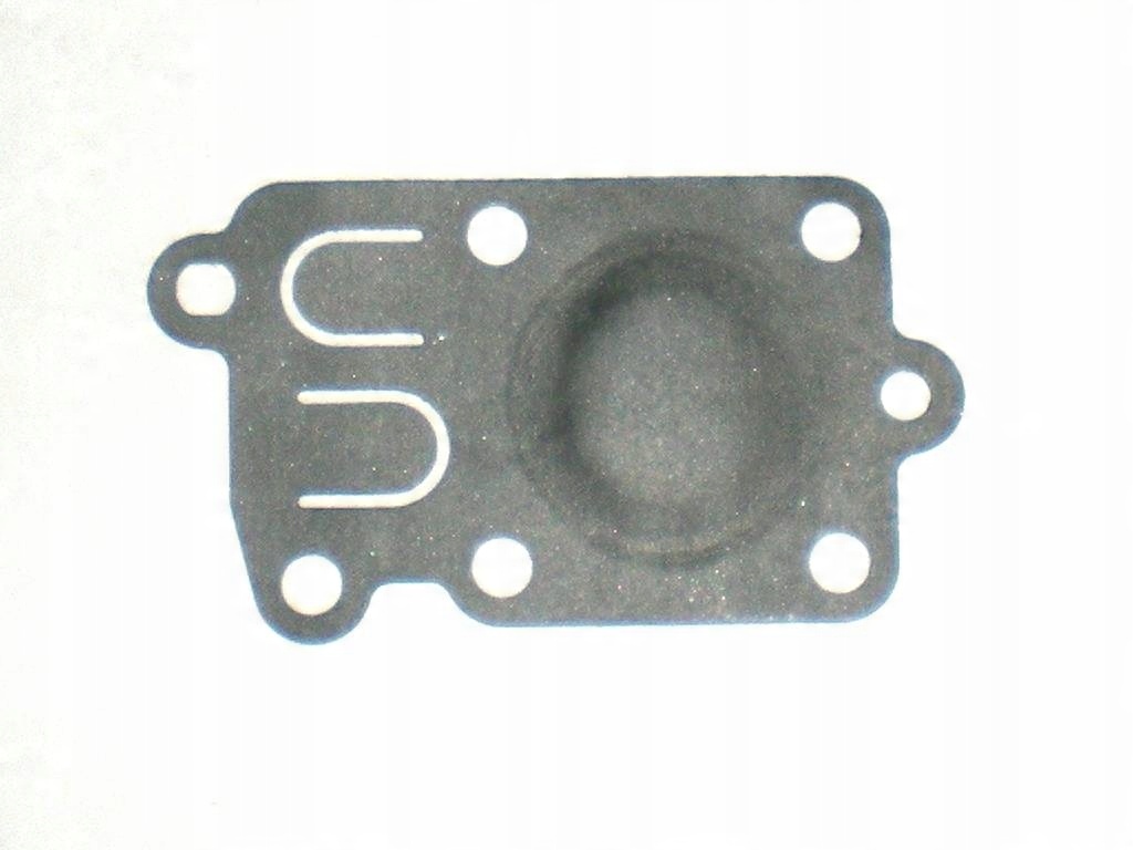 

Membrana Briggs Stratton 272538S