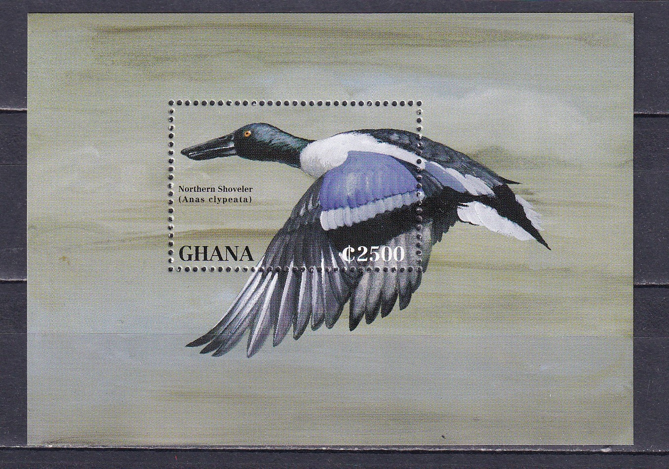 Ghana, Blok 273, 1995r., stan **, A3926