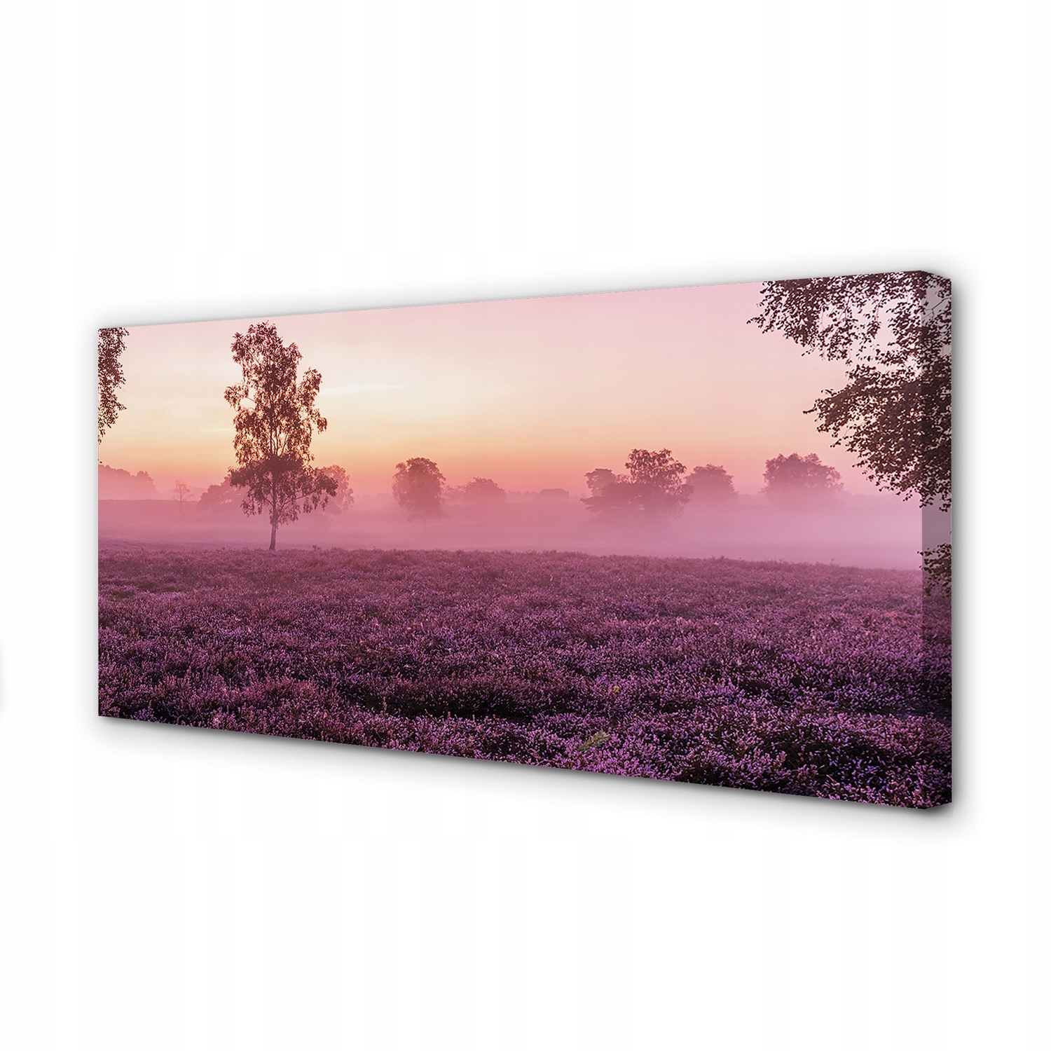 Výtisk na plátně canvas Pole vřesů 120x60 cm