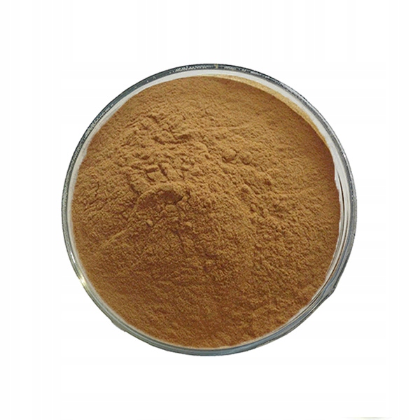 Petrželový List Extrakt Z Listu Petrželky Petroselinum leaf 500 g