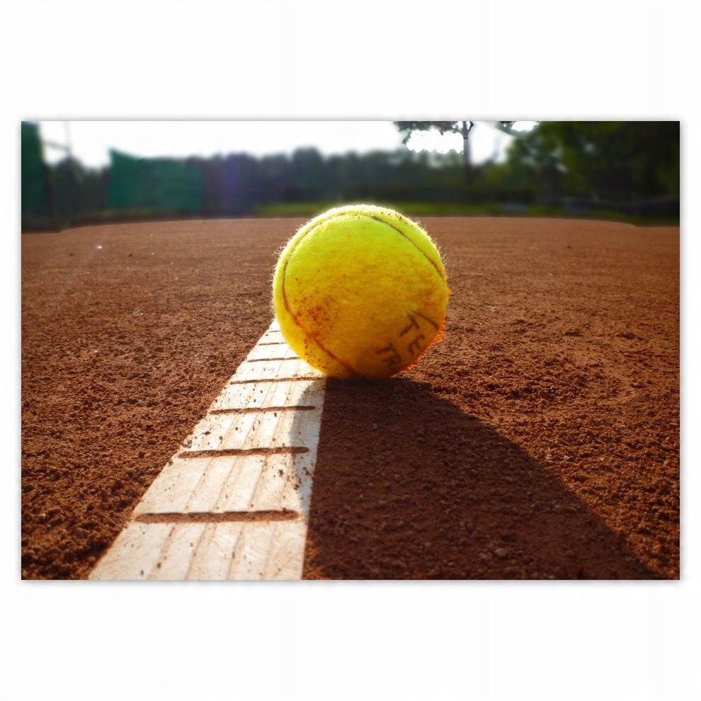 

Fototapety flizelina 416x290 Piłka tenisowa Kort