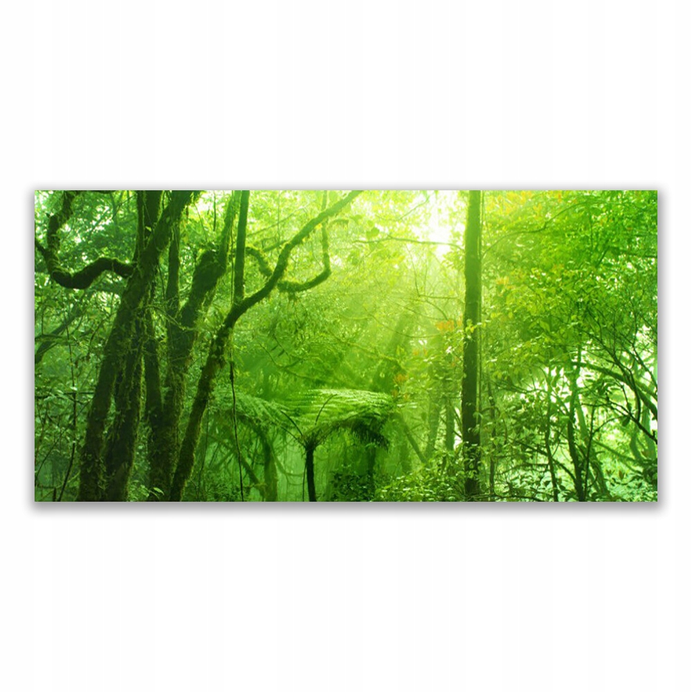

Obraz z grafiką z nadrukiem 140x70 Drzewa Natura