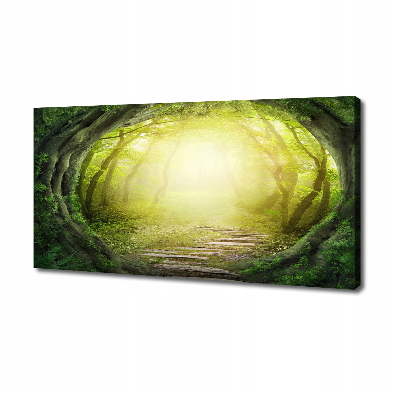 

Foto obraz na płótnie Tunel z drzew 140x70 cm