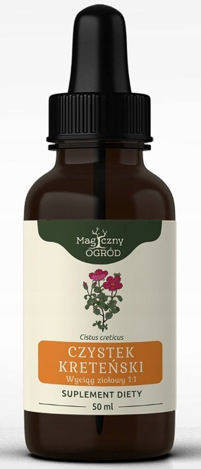 

Czystek Kreteński nalewka 1:1 50ml Borelioza, Odpo