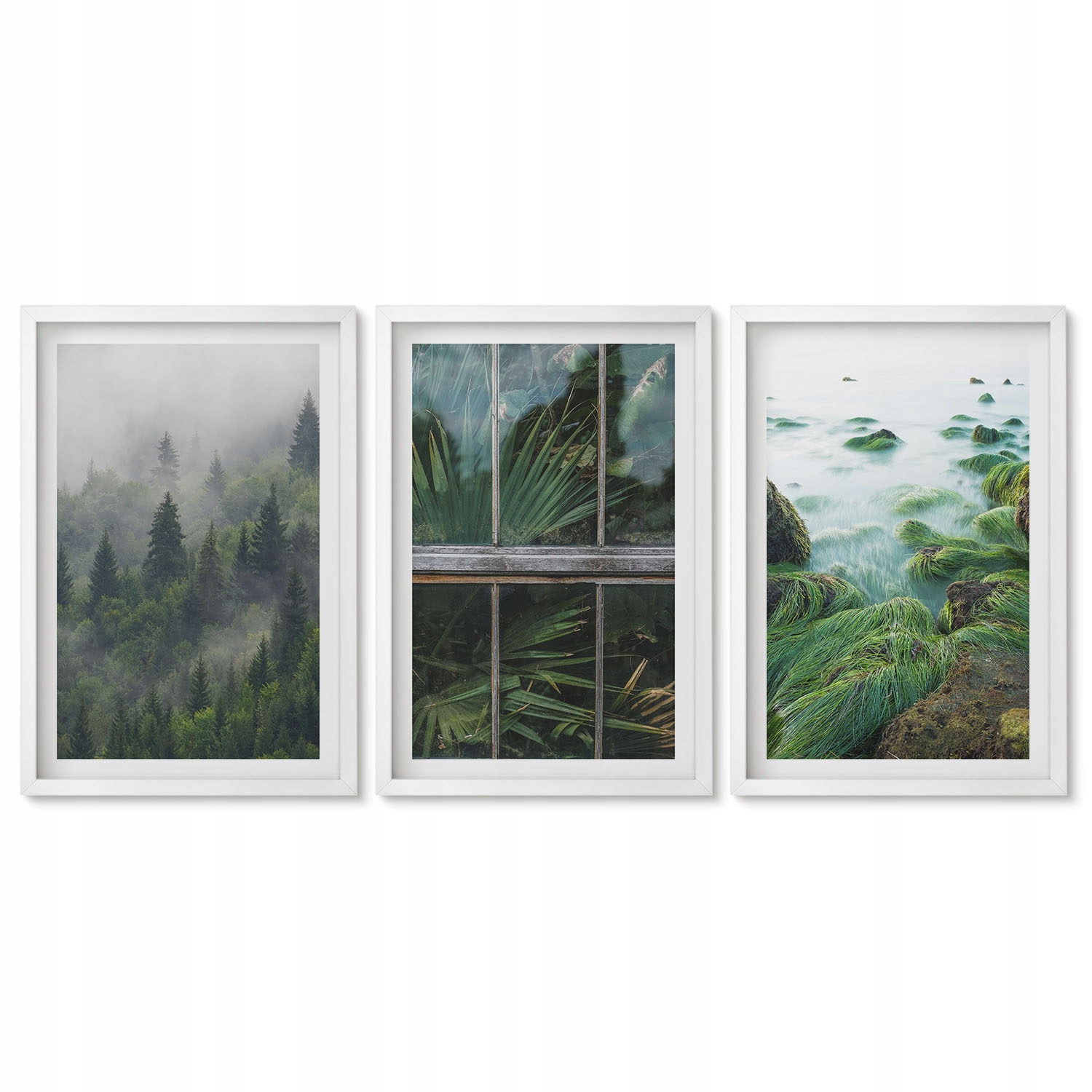 Triptych Sada 40x60 obrazů na zeď Les mlha břeh řeky skleník