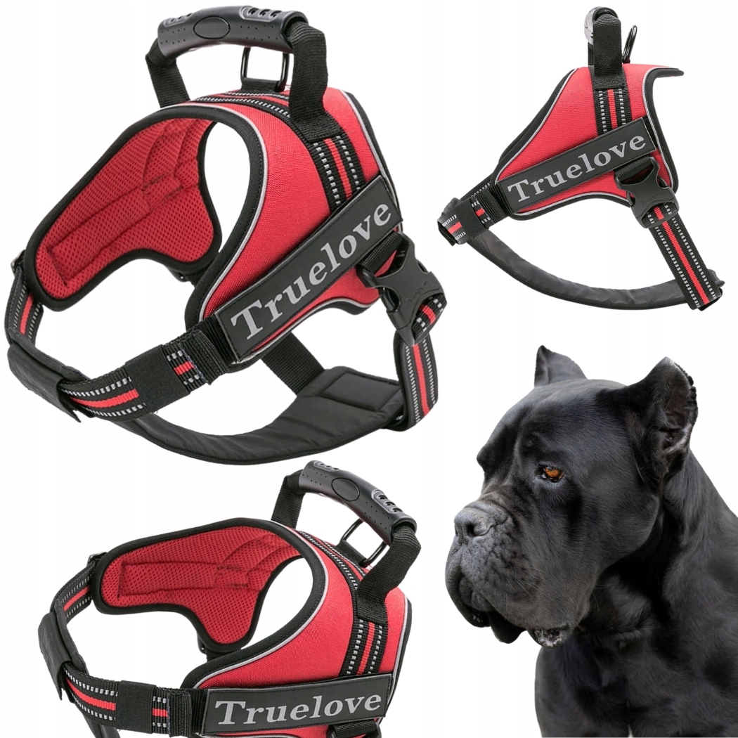 Levně Postroj Pro Pracovního Psa S Madlem Truelove Outdoor Červené XXL