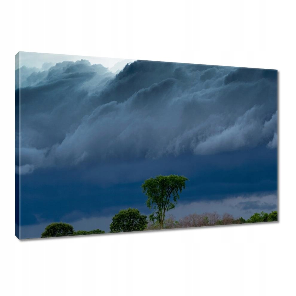 

Obrazy 90x60 Pole kukurydzy Drzewa
