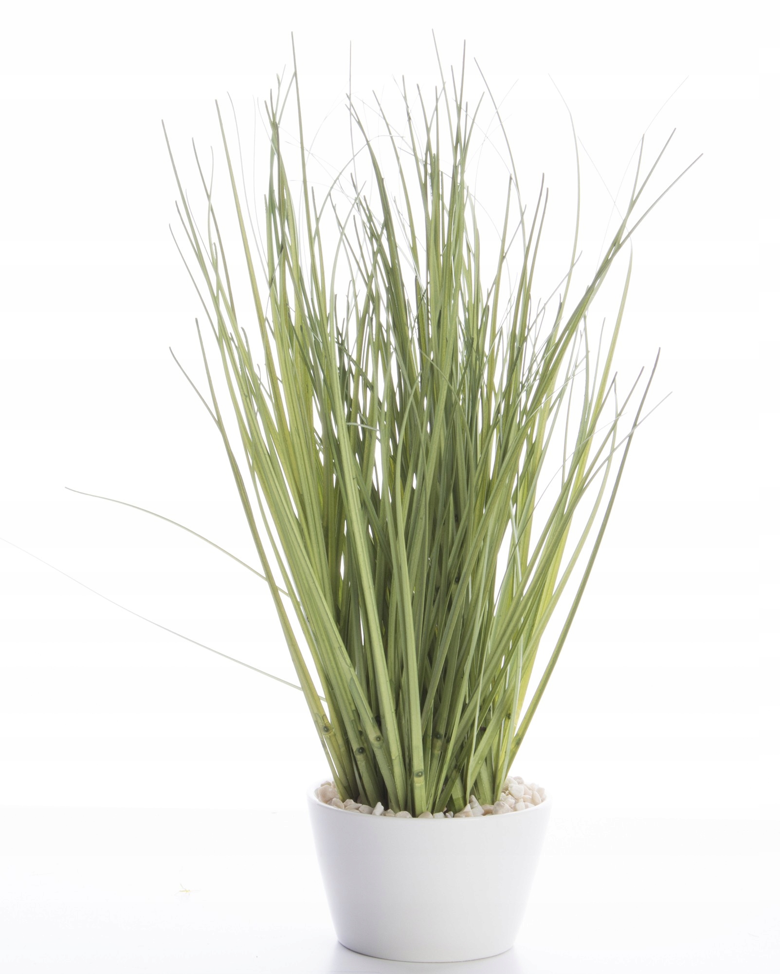 Zielona trawa roślina dekoracyjna w doniczce Marka Domdekoracji